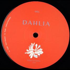 Dahlia 994